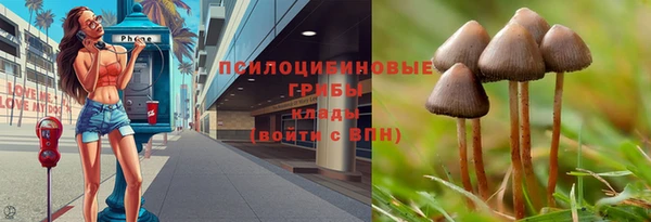 дурь Бронницы