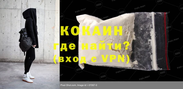 дживик Бородино