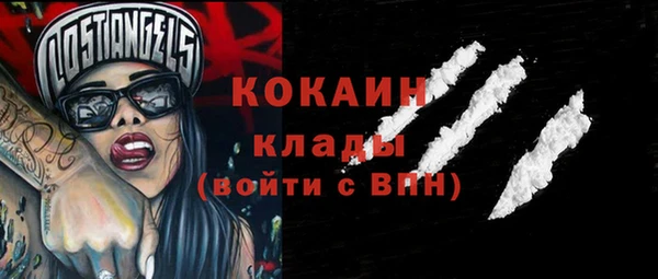 дурь Бронницы