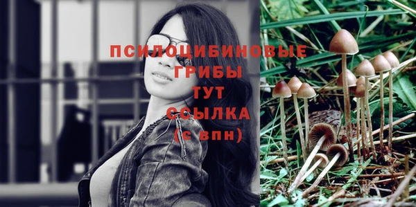 а пвп мука Бугульма