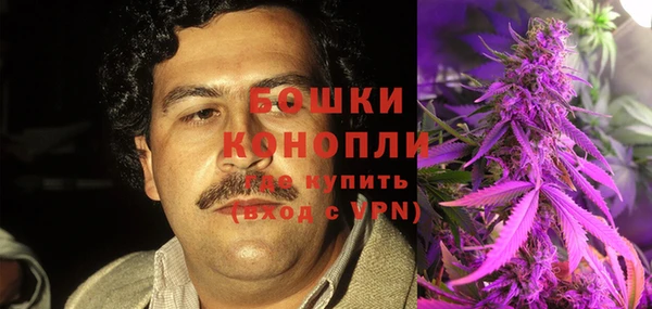 дживик Бородино