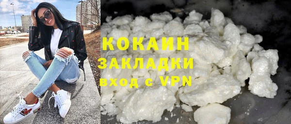 дживик Бородино
