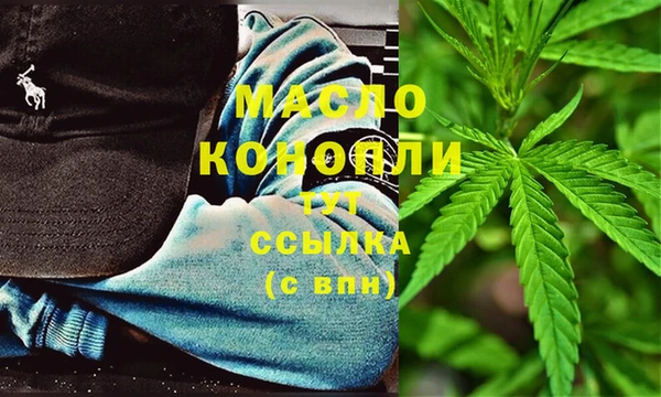 дживик Бородино