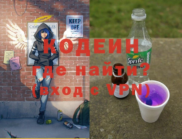 дживик Бородино