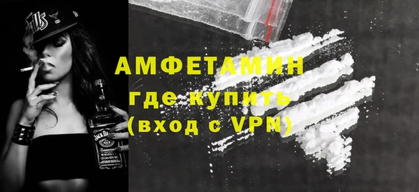 дживик Бородино