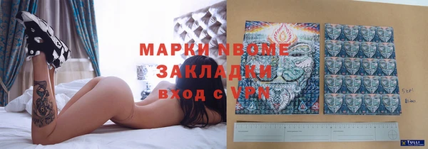 дживик Бородино