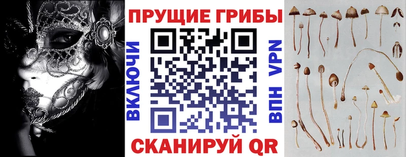 Галлюциногенные грибы Magic Shrooms  shop какой сайт  Бородино 