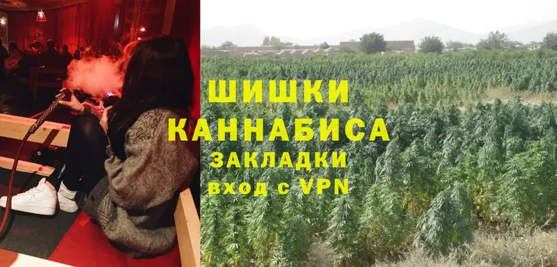 Каннабис Ganja  Бородино 